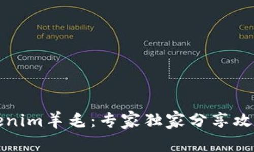揭秘Tokenim羊毛：专家独家分享攻略与秘诀