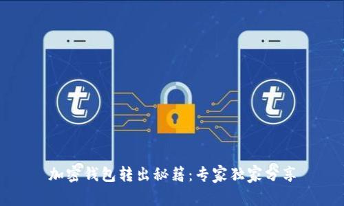 加密钱包转出秘籍：专家独家分享