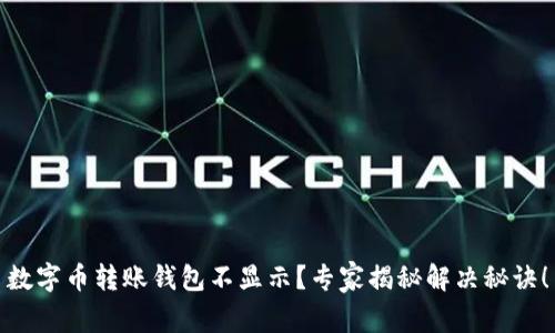 数字币转账钱包不显示？专家揭秘解决秘诀！