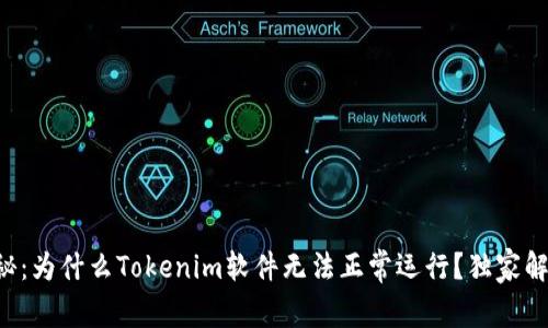 专家揭秘：为什么Tokenim软件无法正常运行？独家解决秘诀！