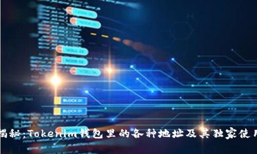 专家揭秘：Tokenim钱包里的各种地址及其独家使用秘诀