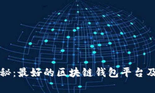 专家独家揭秘：最好的区块链钱包平台及其使用秘诀