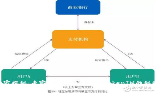 独家揭秘：专家分享发币及支持TokenIM的秘诀！
