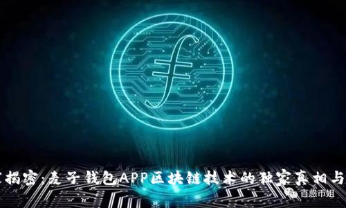 专家揭密：麦子钱包APP区块链技术的独家真相与秘诀