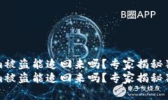 tokenim被盗能追回来吗？专家揭秘独家秘诀tokeni