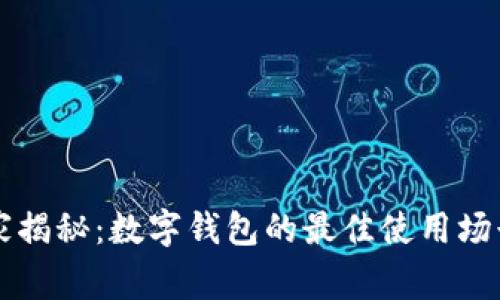 专家独家揭秘：数字钱包的最佳使用场景与秘诀