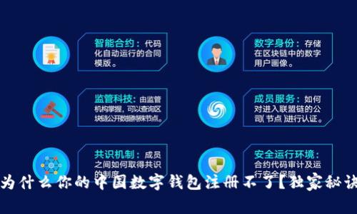 专家揭秘：为什么你的中国数字钱包注册不了？独家秘诀一网打尽！