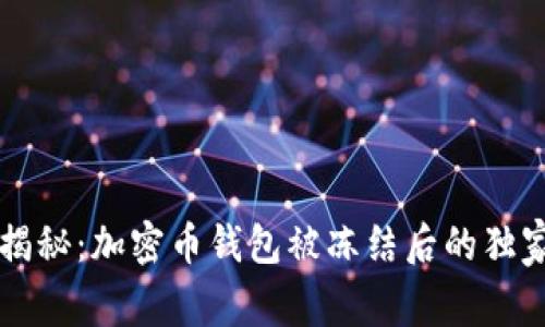 专家揭秘：加密币钱包被冻结后的独家秘诀