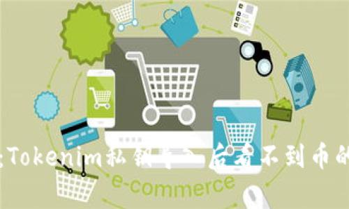 专家揭示：Tokenim私钥导入后看不到币的独家秘诀