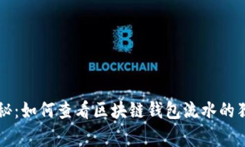 专家揭秘：如何查看区块链钱包流水的独家秘诀