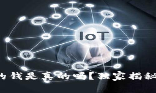 观察钱包中的钱是真的吗？独家揭秘和专家分析！