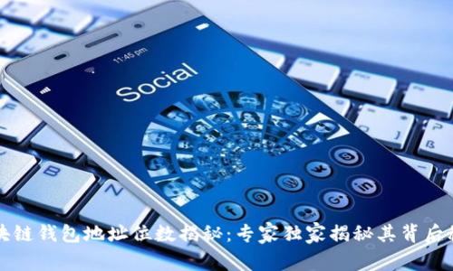 区块链钱包地址位数揭秘：专家独家揭秘其背后秘诀