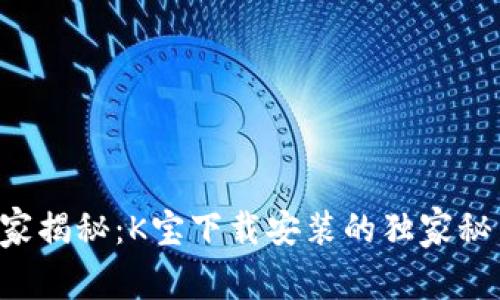 专家揭秘：K宝下载安装的独家秘笈！