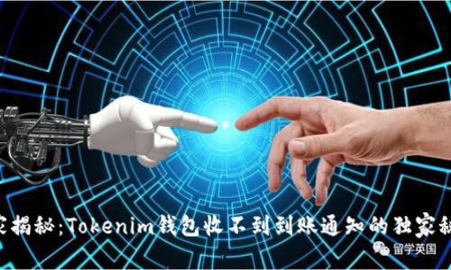 专家揭秘：Tokenim钱包收不到到账通知的独家秘诀！