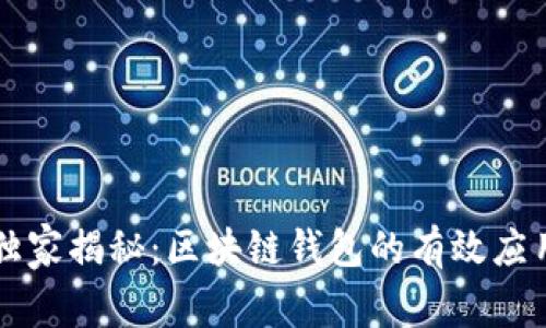 专家独家揭秘：区块链钱包的有效应用方案