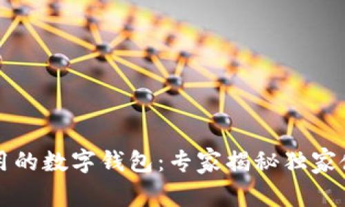 国内常用的数字钱包：专家揭秘独家使用秘诀