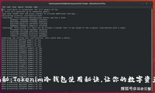 专家独家揭秘：Tokenim冷钱包使用秘诀，让你的数字资产安全无忧！
