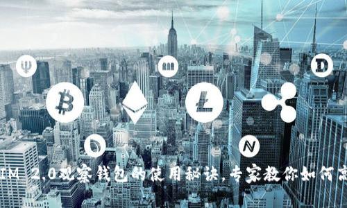 独家揭秘：TokenIM 2.0观察钱包的使用秘诀，专家教你如何高效管理数字资产