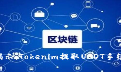 专家独家揭示：Tokenim提取USDT手续费的秘密！