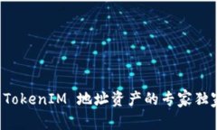 查找 TokenIM 地址资产的专家独家秘诀