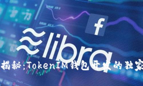 专家揭秘：TokenIM钱包开发的独家秘诀