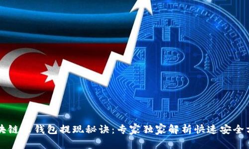 区块链云钱包提现秘诀：专家独家解析快速安全方法