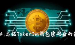 专家独家揭秘：忘记TokenIm钱包密码后的最佳解决