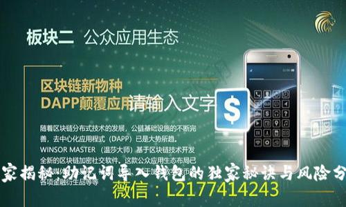 专家揭秘：助记词导入钱包的独家秘诀与风险分析