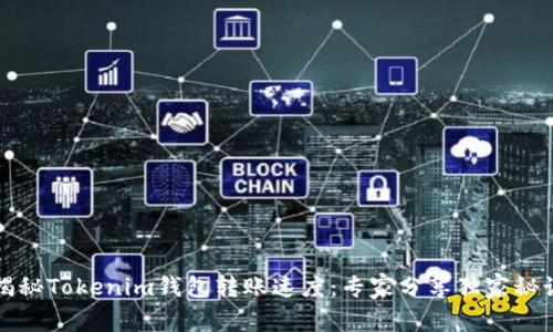 揭秘Tokenim钱包转账速度：专家分享独家秘诀