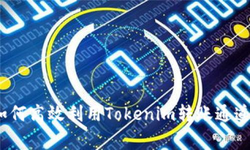 专家揭秘：如何高效利用Tokenim转账通道的独家秘诀