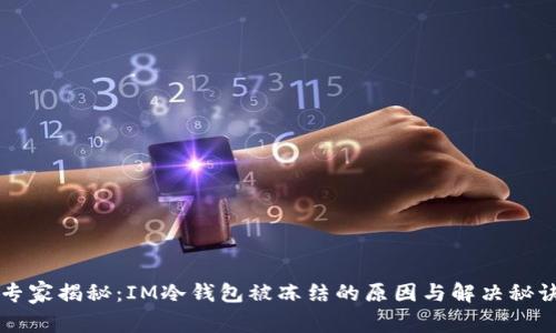 专家揭秘：IM冷钱包被冻结的原因与解决秘诀