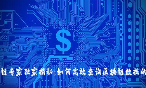 区块链专家独家揭秘：如何高效查询区块链数据的秘诀