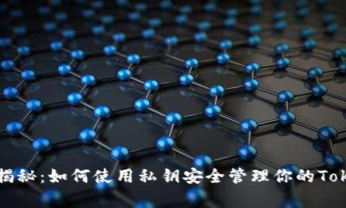 专家独家揭秘：如何使用私钥安全管理你的Tokenim钱包