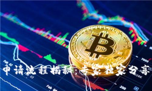 TokenIM申请流程揭秘：专家独家分享成功秘诀