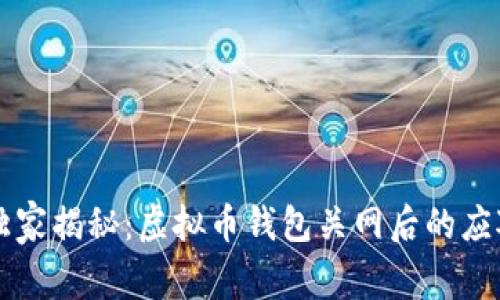 专家独家揭秘：虚拟币钱包关网后的应对秘诀