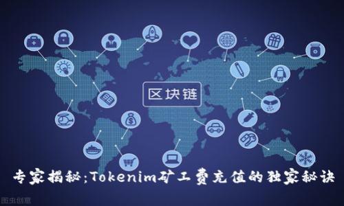 专家揭秘：Tokenim矿工费充值的独家秘诀