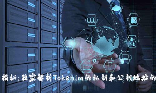 专家揭秘：独家解析Tokenim的私钥和公钥地址的秘诀