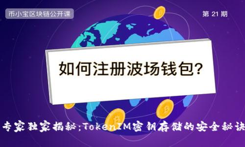 专家独家揭秘：TokenIM密钥存储的安全秘诀