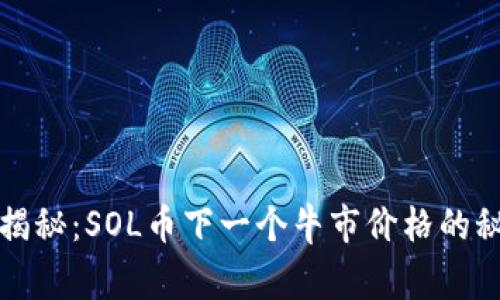专家独家揭秘：SOL币下一个牛市价格的秘密与预测