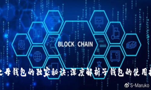 揭秘数字货币之母钱包的独家秘诀：深度解析子钱包的使用技巧与安全防护