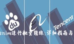 如何使用Tokenim进行批量转账：详细指南与常见问