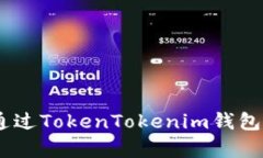 全面解析：如何通过TokenTokenim钱包发币并投资回