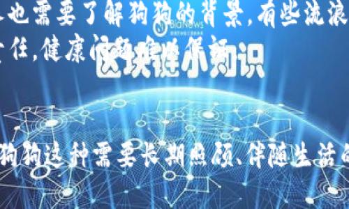 tiaoti从哪里买狗狗最靠谱？/tiaoti

购买狗狗, 狗狗来源, 养狗注意事项/guanjianci

一、从哪里找可信赖的狗狗来源
购买狗狗是许多家庭的重要决定，选择一个可靠的来源至关重要。如今，市场上有各种渠道提供狗狗的购买服务，包括宠物店、犬舍、个人饲养者和在线平台等。首先，建议选择专业的犬舍。相对而言，专业的犬舍通常会对狗狗的健康、血统和社会化阶段有更全面的关注，能够提供相关证明和保障。
其次，宠物店也是一个常见的选择，但是需谨慎选择。要确保店铺的信誉良好，查看顾客评价、营业执照及卫生状况。如果可能的话，可以亲自到店铺实地考察，观察狗狗的生活环境和饲养状况。
第三种途径是网络平台，如一些知名的宠物交易网站。虽然这种方式方便快捷，但需特别谨慎。购买之前，务必与卖家进行详细沟通，了解狗狗的健康状况，并请求实物照片及相关证书。

二、如何辨别狗狗卖家的诚信
在选择卖家时，信任是至关重要的。首先，可靠的卖家通常会乐意提供狗狗的健康证明、疫苗接种记录以及它们的父母信息。这样能够让你对狗狗的健康状况有更清晰的了解。
其次，认真观察卖家的态度。如果卖家对你的疑问敷衍或隐瞒信息，建议谨慎考虑。此外，可以尝试向卖家索要与其他客户的交流记录，获取他们的反馈和评价。
最后，实地考察也是一个有效的方法。亲自去看狗狗的生活环境，了解他们的日常生活状态。健康、快乐的狗狗通常会给你留下良好的印象，而糟糕的环境则可能是卖家不负责任的表现。

三、购买狗狗时需要注意的事项
在决定购买狗狗之前，有几个重要的事项需要考虑。首先，要确认自己是否有足够的时间、精力和资金来照顾狗狗。狗狗是需要长期悉心照顾的伴侣，它们的生活质量直接影响到你的生活质量。
其次，要了解不同犬种的性格特点、生活习性以及成长需求。不同品种的狗狗在体型、运动量和饮食方面的要求各不相同，因此在选择时需根据自身的生活方式来考虑。
此外，确保提前准备好狗狗到家后的必要物品，如狗窝、食水碗、玩具以及合适的狗粮。这样能够帮助狗狗更快适应新环境，同时与你建立良好的关系。

四、如何确保狗狗健康
在购入狗狗后，首要任务是确保它的健康状况良好。确保带狗狗去兽医进行全面体检，以确认其健康和疫苗接种记录。同时，在家中创建一个干净、安全的生活环境，定期清理和消毒。
此外，选择一份科学合理的狗粮，确保狗狗的营养充足。同时，定期带狗狗做疫苗接种和体检，保持狗狗的健康状态。
最后，为狗狗提供必要的运动和社交活动，帮助它们形成良好的行为习惯和健康的生活方式，防止因缺乏运动或社交导致的心理问题。

五、收养和购买的利弊分析
在购买狗狗之前，考虑收养是一个值得探讨的选择。收养通常会帮助到需要新家和爱情的流浪狗，它们可能会更感激你。然而，收养也需要了解狗狗的背景，有些流浪狗可能曾遭受过虐待，心理上可能需要更多的关注和照顾。
与之相比，购买狗狗通常意味着你可以获得更为明确的品种、性格和健康状况。然而，市场中的狗狗来源复杂，有些卖家可能不负责任，健康问题难以保证。
结合个人情况，选择最适合自己的方式。无论是收养还是购买，负责任的态度和爱才是狗狗幸福快乐的关键。

通过以上的细致分析，从多个维度解答了“从哪里买狗狗最靠谱”这一问题。在实际操作中，对待任何一种宠物的购买行为，尤其是狗狗这种需要长期照顾、伴随生活的动物，务必谨慎选择，以确保狗狗能够在幸福的环境中成长。