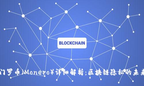 门罗币（Monero）详细解析：区块链隐私的未来