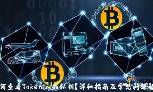 
如何查看Tokenim的私钥？详细指南及常见问题解答