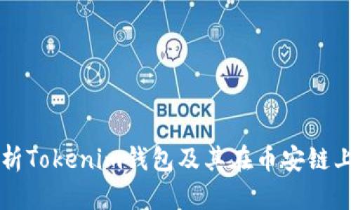 全面解析Tokenim钱包及其在币安链上的应用