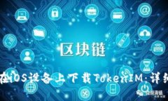 如何在iOS设备上下载TokenIM：详细指南
