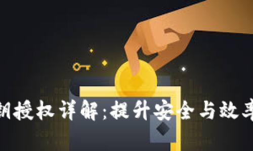 TokenIM密钥授权详解：提升安全与效率的关键方案