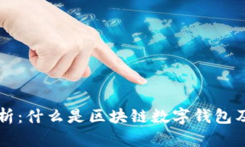 全面解析：什么是区块链数字钱包及其应用