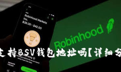 Tokenim钱包支持BSV钱包地址吗？详细分析与用户指南